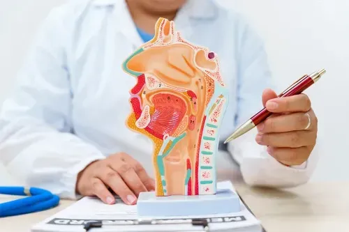 Can Aspergillosis be Cured?